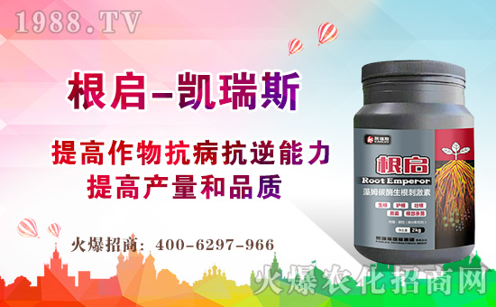 【凱瑞斯國際】祝大家在新的一年里闔家歡樂,幸福美滿!