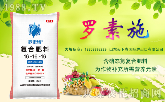 山東天下春國際進(jìn)出口有限公司