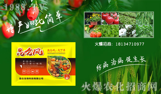 【昆侖生物】祝大家狗年里順順利利,紅紅火火!