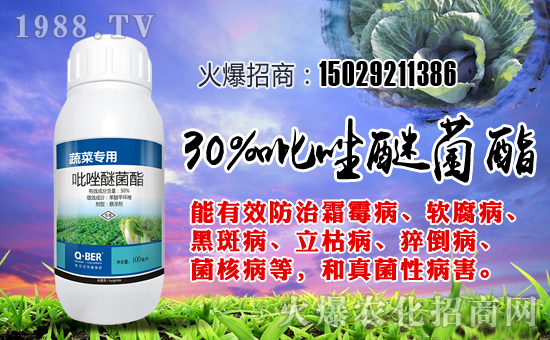 【喬貝爾作物】祝全國朋友狗年大吉,萬事如意!