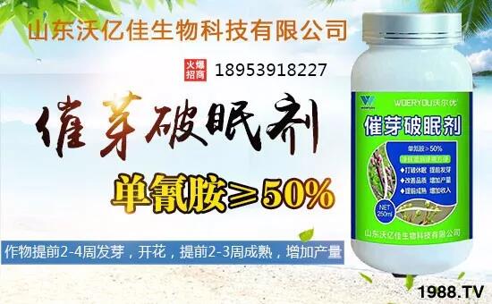 山東沃億佳生物科技有限公司