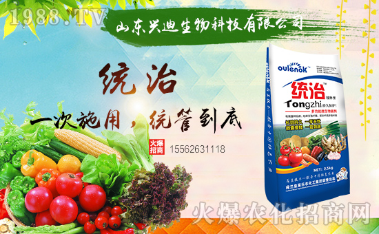 山東興迪生物科技有限公司