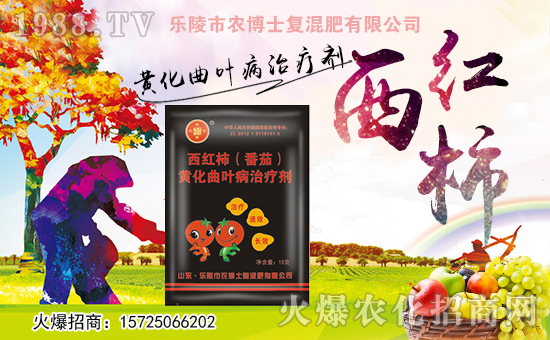 ����(l��)���r(n��ng)��ʿ��ף������µ�һ���(l��i)���w�������f(w��n)��������