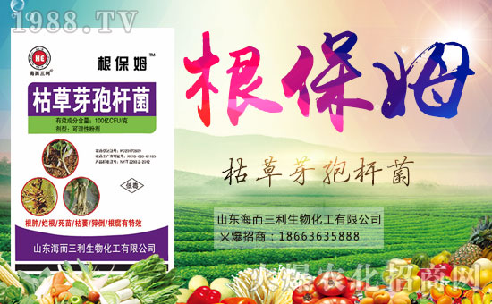 ���������ףȫ��(gu��)���Ѻ��¶����Ц�ݶ����