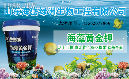 ����᷾G�ޡ�ף������옷���Ҹ��d�d��