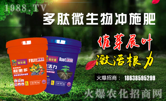 【美國綠普信】祝愿一路陪伴的朋友們身體健康,狗年吉祥!