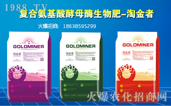 【美國綠普信】祝愿一路陪伴的朋友們身體健康,狗年吉祥!