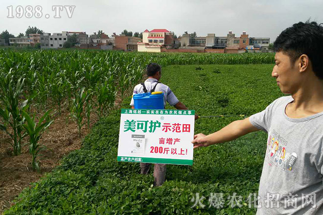 �Ϻ��Խ�r(n��ng)�I(y��)�Ƽ����޹�˾