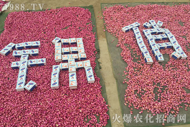 �Ϻ��Խ�r(n��ng)�I(y��)�Ƽ����޹�˾