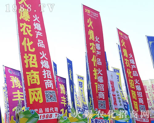     �ڶ�ʮһ�������r(n��ng)ˎ���������r(n��ng)���W(w��ng)ȫ���������̹���