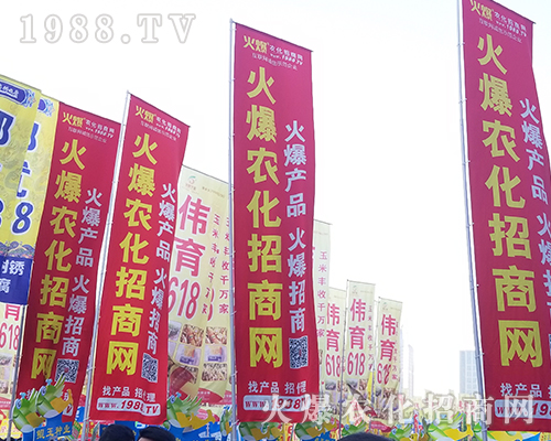 2018���������r(n��ng)ˎ��(hu��)��1988.TV����(zh��ng)***��