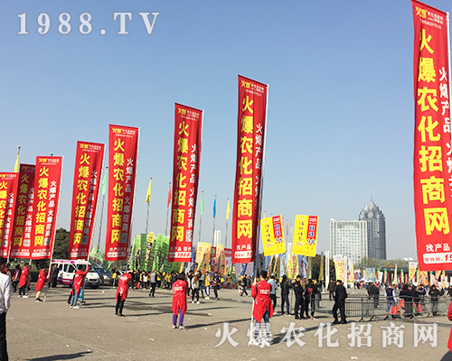     ��21�ú��������r(n��ng)ˎ���ϻ��r(n��ng)���W(w��ng)��Ӣ�ɳ�������(zh��n)����