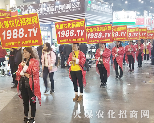     2018�����r(n��ng)ˎ�������r(n��ng)���W(w��ng)׌�fǧ�S�̳ɹ��_��(chu��ng)δ��