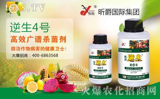 張燈結(jié)彩新春到,鞭炮聲聲人歡笑。開(kāi)開(kāi)心心無(wú)煩惱,順順利利事業(yè)高!值此新春佳節(jié)來(lái)臨之際,昕爵國(guó)際集團(tuán)祝大家在新的一年里財(cái)源滾滾來(lái)!