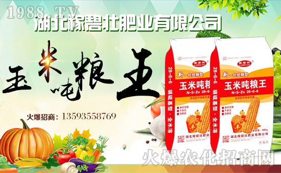 湖北稼碧壯肥業(yè)有限公司