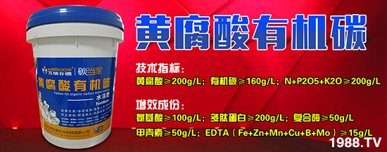 【山東萬瑞谷德】全體員工給農(nóng)資經(jīng)銷商朋友們拜年啦!