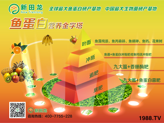 浙江新田龍?zhí)胤N肥料科技有限公司