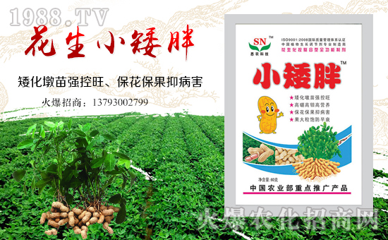 【瑞生生物】祝福大家工作順利,步步高升!