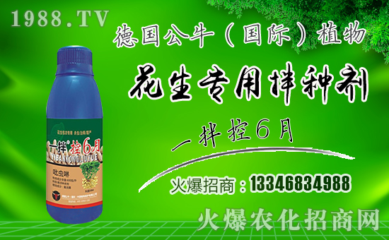 【德國公!孔4蠹以谛碌囊荒昀锕ぷ黜樌,步步高升!