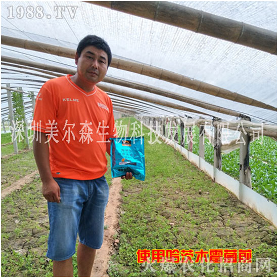 【美爾森生物】主大吉在新的一年里身體健康!心想事成!萬事如意!