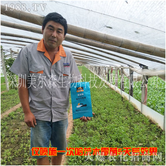 【美爾森生物】主大吉在新的一年里身體健康!心想事成!萬事如意!