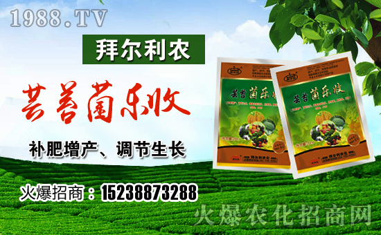 ���ݠ����r(n��ng)��ף������������t�t���