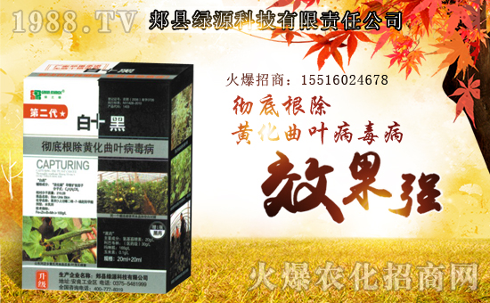 【綠源科技】祝大家在新的一年里身體健康!心想事成!萬事如意!