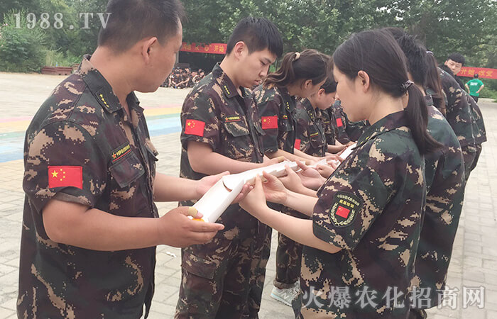 ǰʮ������ʮ�����𱬍��V�q��