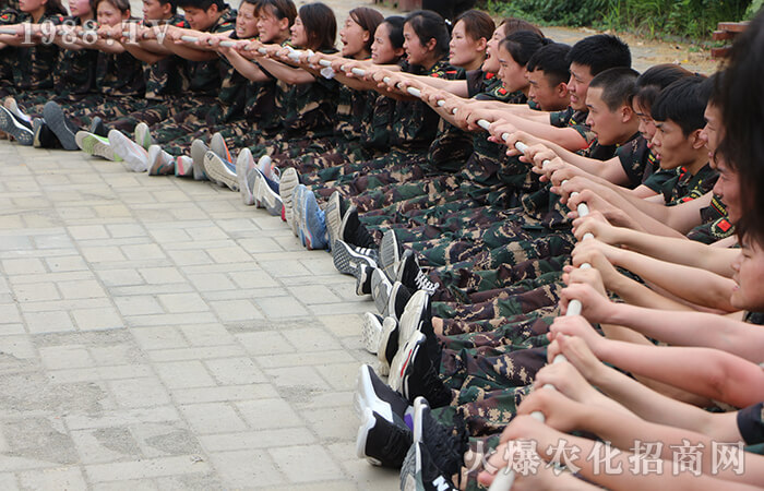 初的我 初的夢(mèng) 初的心