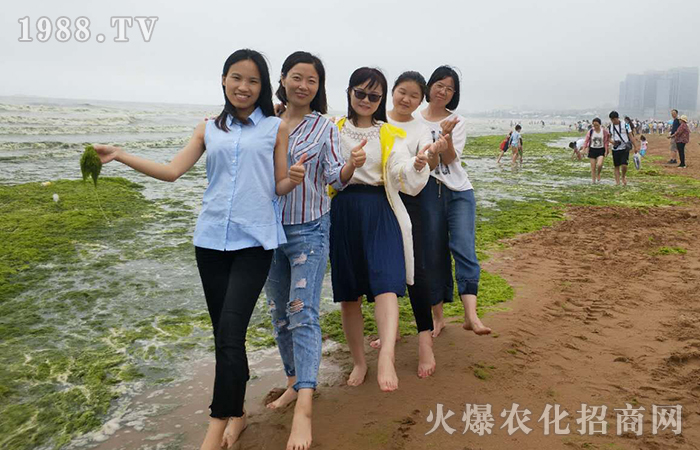 青島兩日游心得總結(jié)