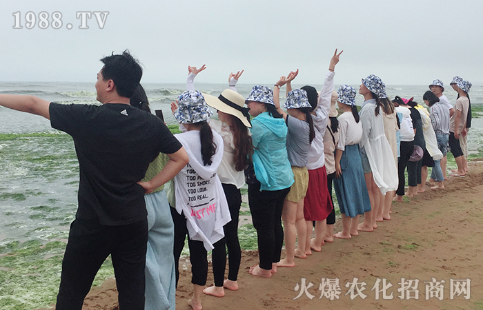 蔚藍(lán)海岸,魅力青島