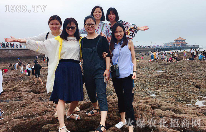 2018青島魅力之旅