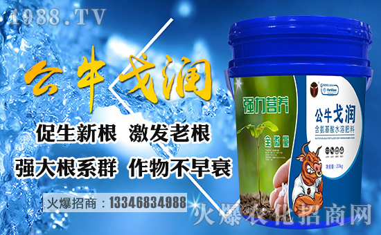 ����(gu��)������ף������µ�һ�����Ҹ����M���H�Қg����