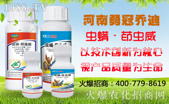 ���¹چ̵ϡ�ף������옷��ؔ(c��i)�\(y��n)��ͨ��