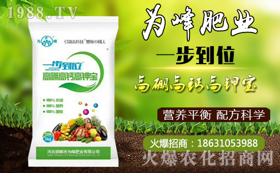     �����ʘI(y��)��ףȫ���������µ�һ�����Ҹ����M���H�Қg����