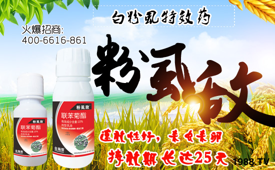 �����˹�r(n��ng)�I(y��)��ףȫ���������w�������f�����⣡