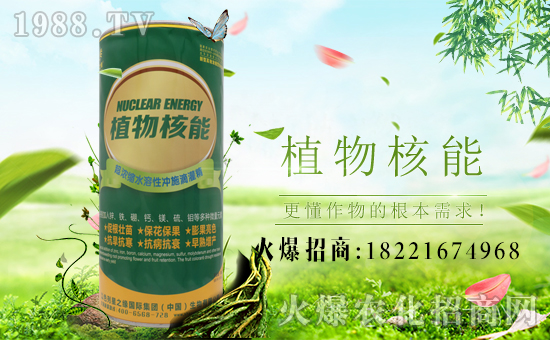 【星之緣】恭祝大家新春快樂、身體健康、闔家幸福、萬事如意!