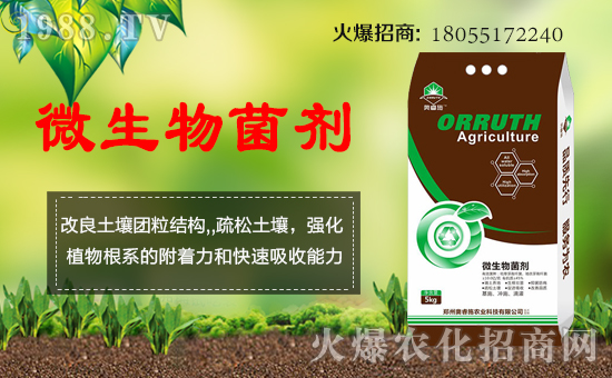 ��Ӣ���W�ʩ��ף���g�gϲϲӭ�i�����f������ƽ���꣡