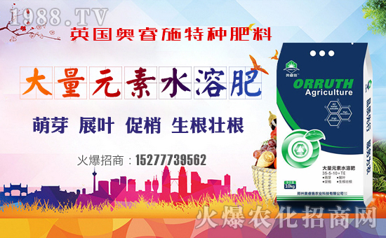 ��Ӣ���W�ʩ��ף���g�gϲϲӭ�i�����f������ƽ���꣡