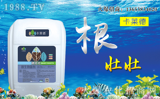 �����R���r(n��ng)�I(y��)��ȫ�w�T����ףȫ����(j��ng)�N�����w�������f��������