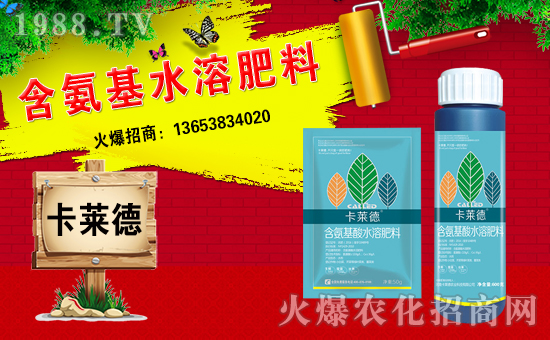 �����R���r(n��ng)�I(y��)��ȫ�w�T����ףȫ����(j��ng)�N�����w�������f��������