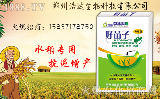 �����_(d��)�����ף������������옷(l��)�����i���������