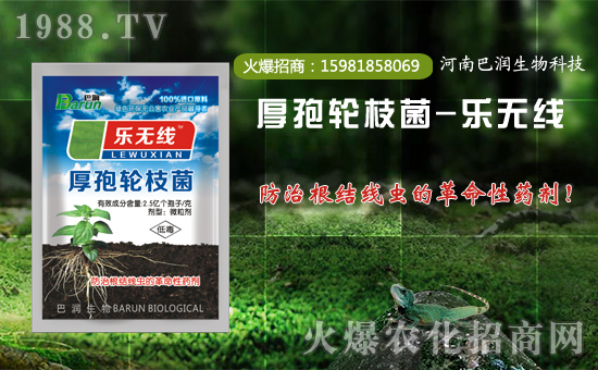 ���͝����ף������µ�һ�������w���������������