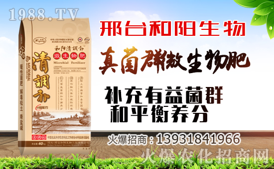 ��������ף������µ�һ�������w�������f��������