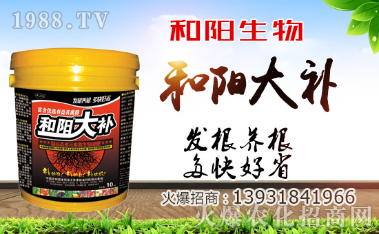 ��������ף������µ�һ�������w�������f��������