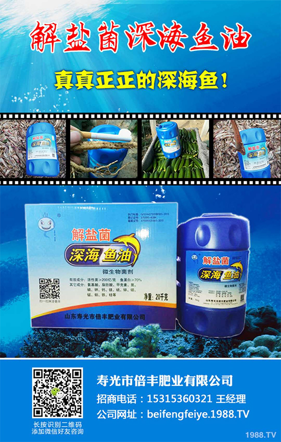 ���۹ⱶ�S�ʘI(y��)��ף��������µ�һ�����_��󼪣��f��������