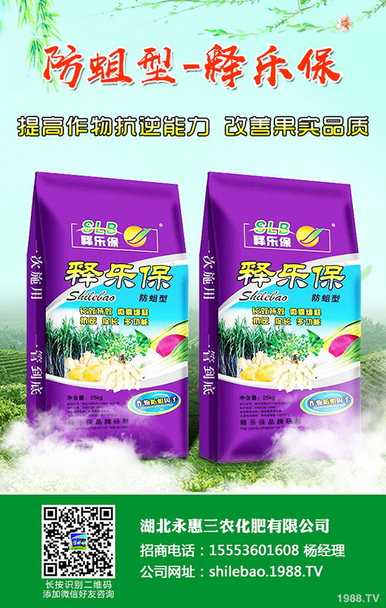 秋冬柑橘得了急性炭疽病怎么辦？柑橘急性炭疽病的發(fā)病原因及防治方法！