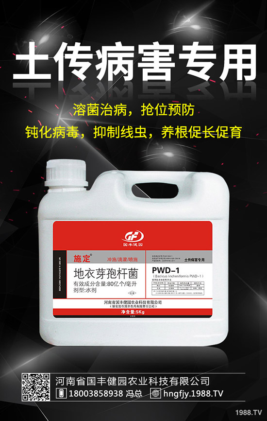 С�����݄�ʲô�r������С������݄��ĕr�g��ע�������