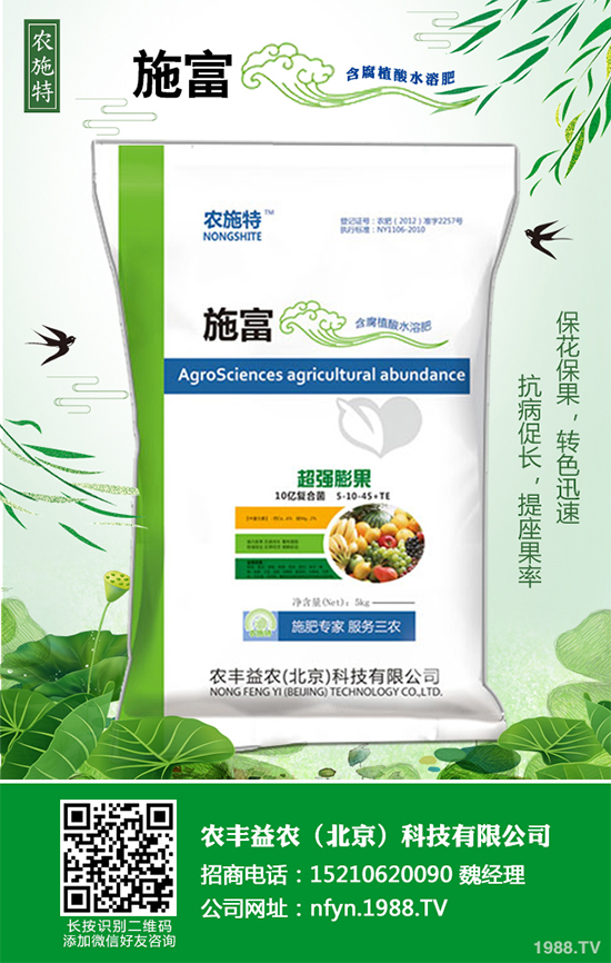 香蔥該如何栽培？秋茬香蔥高產(chǎn)技術(shù)要點(diǎn)