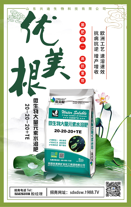 山東興迪生物科技有限公司